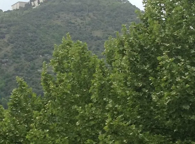 Suiteiris 住宿加早餐酒店